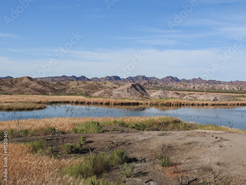 The beautiful lower Colorado River flowing through the desert, with jagged peaks in the background, Picacho State Recreation Area, Imperial County, California. 