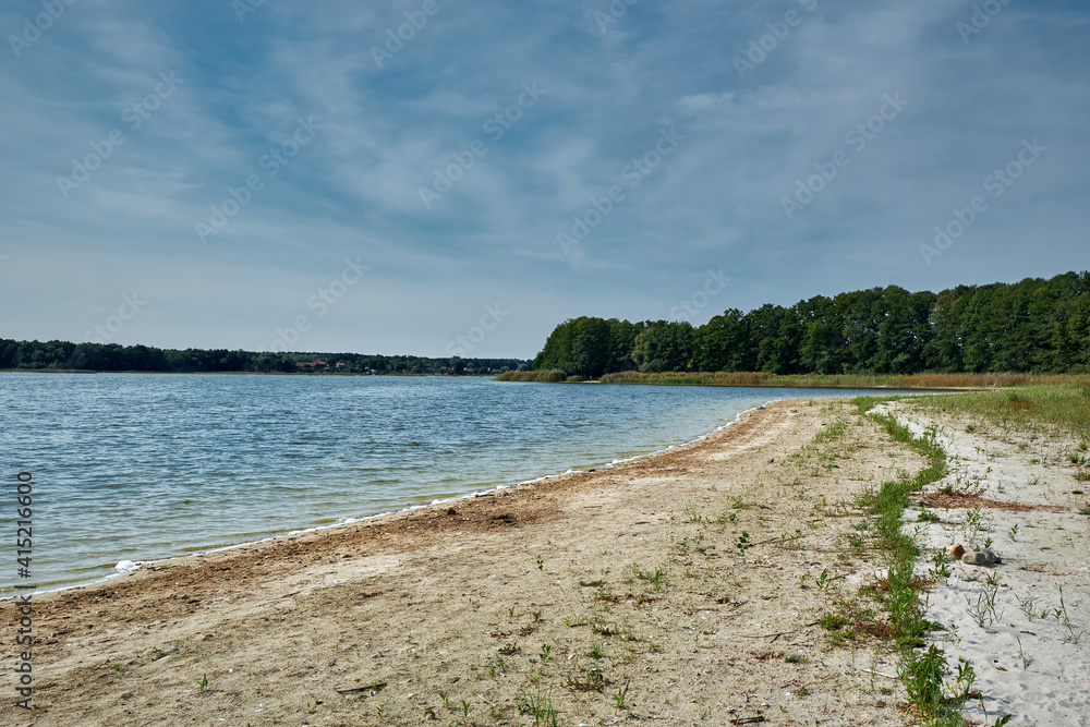 Fototapeta premium Folge des Klimawandels: sommerliche Wasserknappheit am Großen Seddiner See in Brandenburg