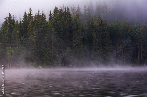 fog in the forest on the river