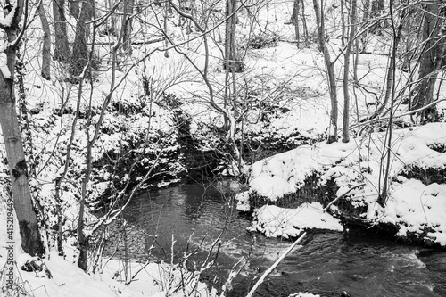 Throckley Dene (woodland stream) in west Newcastle after heavy snowfall in black and white photo