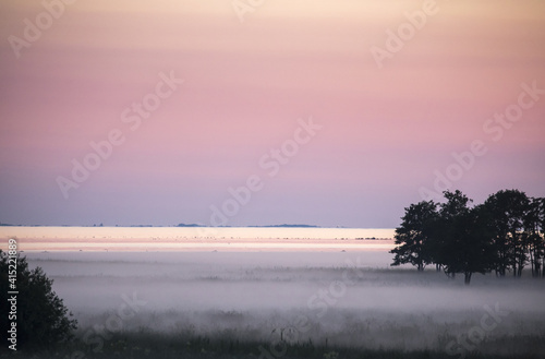 Mist-clad forest in Karula National Park, Estonia photo