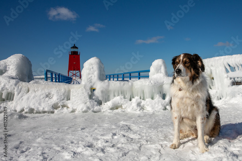 Shepherd dog in front of frozen Charlevoix ighthouse photo