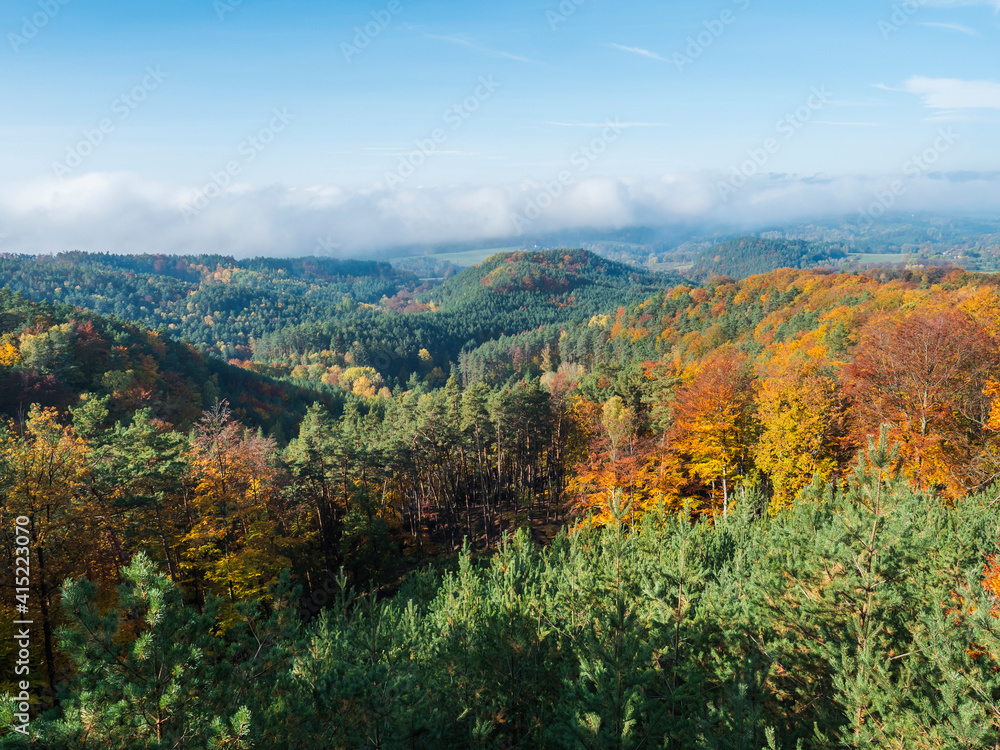 view of colorful vivid deciduous beech and pine tree forest and hills from viewpoint called Vyhlidka na Rip at nature park Kokorinsko, Czech republic. Autumn sunny day.