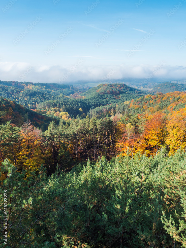 view of colorful vivid deciduous beech and pine tree forest and hills from viewpoint called Vyhlidka na Rip at nature park Kokorinsko, Czech republic. Autumn sunny day.