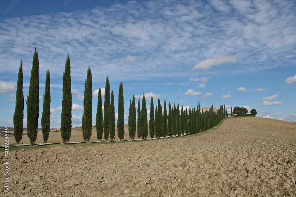 Cypress alley leading to Tuscan farmhouse 