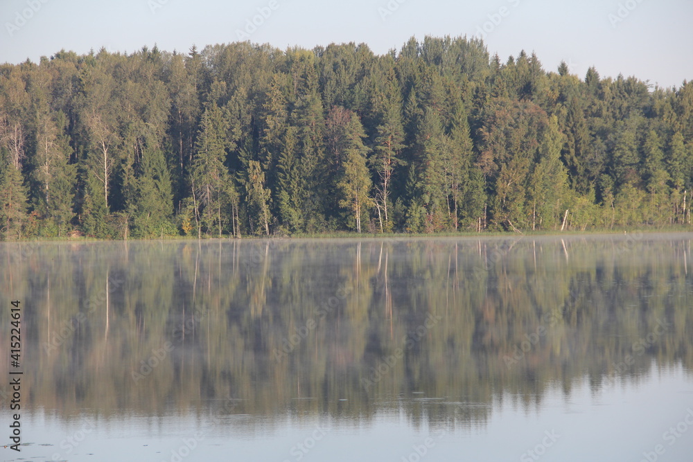 Fototapeta premium lake in the woods