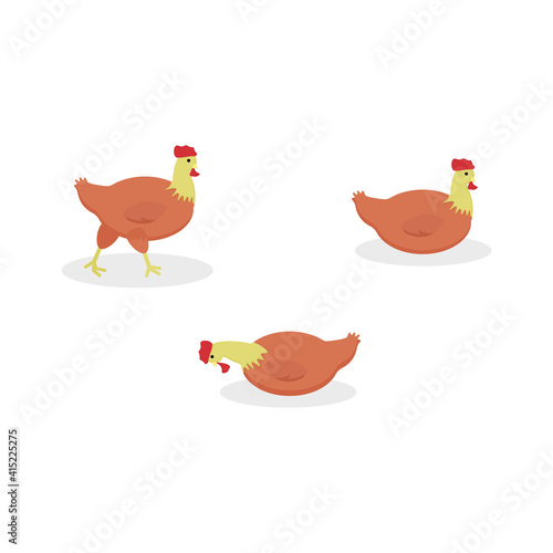 Cute set chicken. Set chicken, hen in various poses. vector illustration isolated on white background.