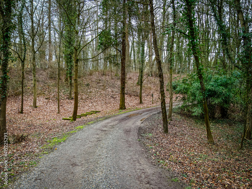 path in the woods