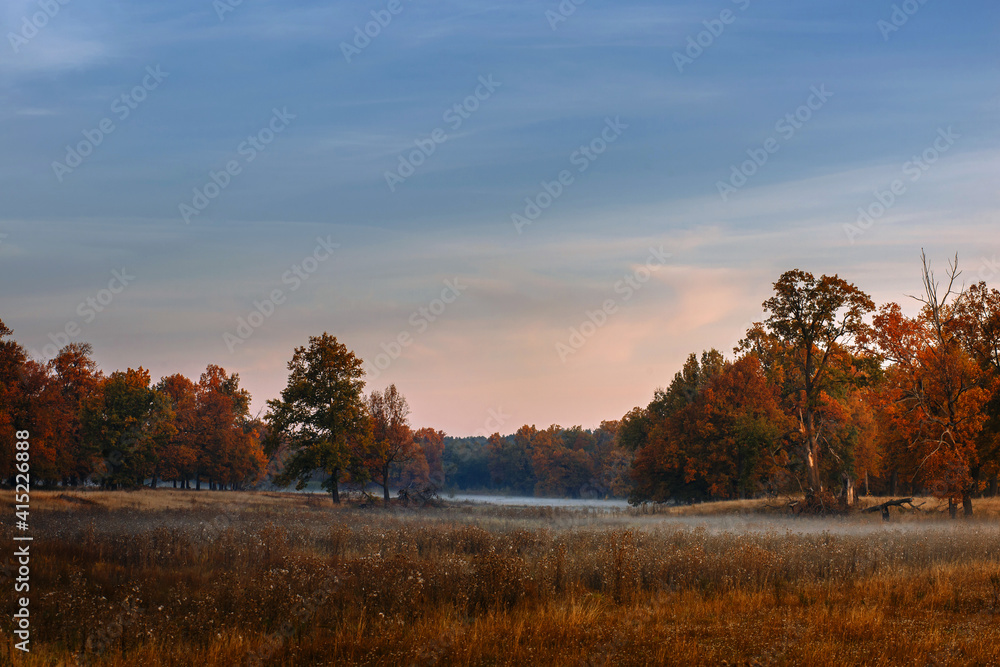 Beautiful autumn landscape. Fog creeps across the grass