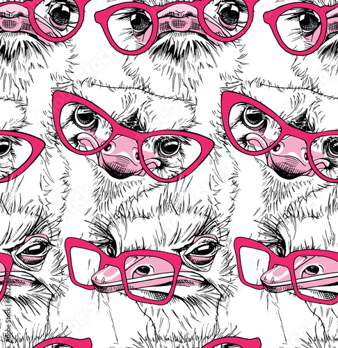 Seamless wallpaper pattern. Funny Ostriches Friends in a pink glasses. Textile composition, hand drawn style print. Vector illustration. photo