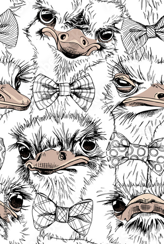 Seamless wallpaper pattern. Funny Ostriches Friends in a bow ties. Textile composition, hand drawn style print. Vector illustration.