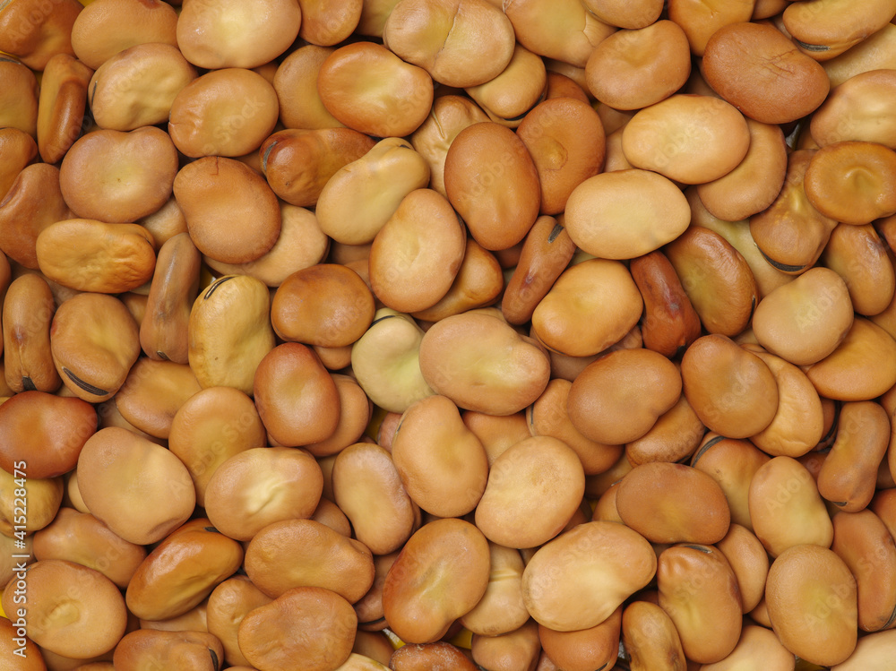 Pile of broad beans, background Pile of broad beans, background
