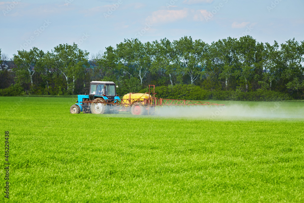 Fototapeta premium Tractor spraying pesticides at wheat fields