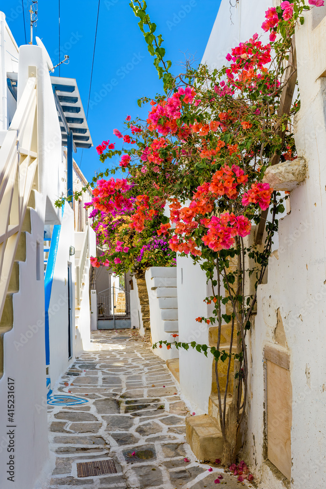 Fototapeta premium Traditional Cycladitic alley with a narrow street, whitewashed houses and a blooming bougainvillea in Parikia, Paros island, Greece.