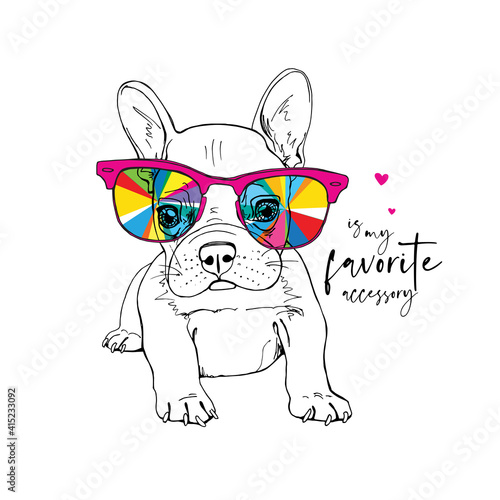 Portrait of a French Bulldog puppy in a rainbow glasses. Funny Cartoon Characters. Humor card  t-shirt composition  hand drawn style print. Vector illustration.