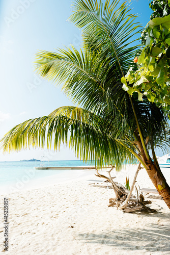 Tropical beach. leaves of palm trees sticking out from the corners of the frame. Palm tree  leaves in front of the blue sea