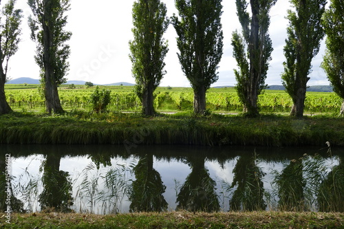 Along the Wiener Neustadt channel it's great fun cycling in Lower Austria by Baden bei Wien photo