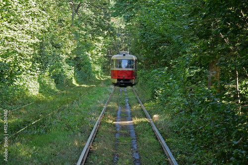 Tram is going through forest