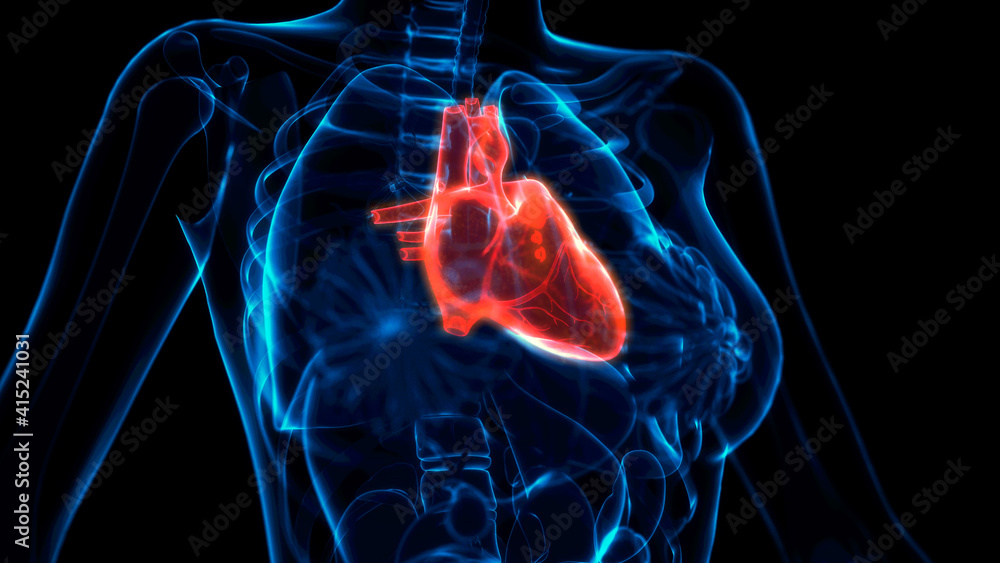 cg medicine 3d illustration, human heart problems x ray image Stock ...