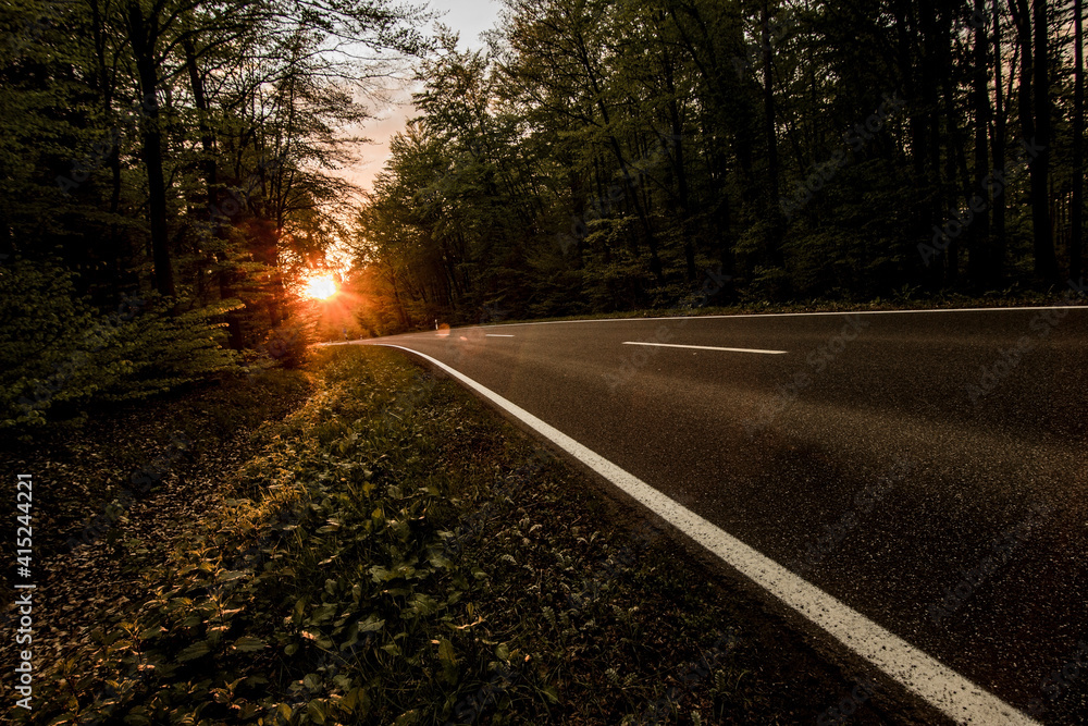Fototapeta premium Sonnenuntergang im Wald am Straßenrand