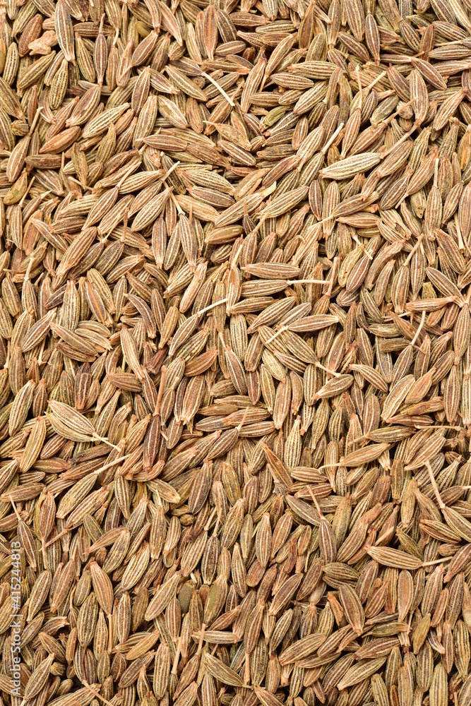 paddy grains background