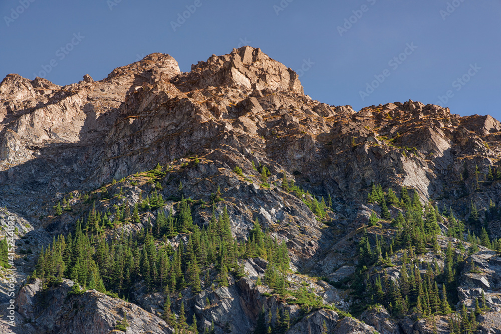 Fototapeta premium Close to the Tree Line - High Elevation