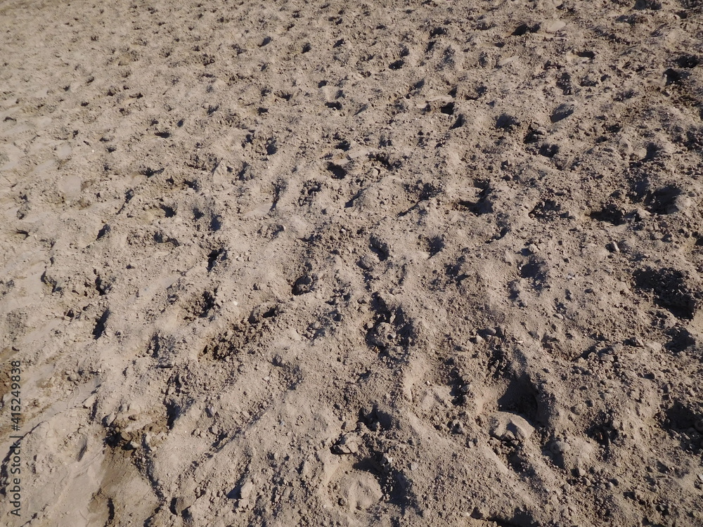 sand cover on show jumping parade ground with horse hoof prints, close-up texture background sand cover on show jumping parade ground with horse hoof prints, close-up texture background