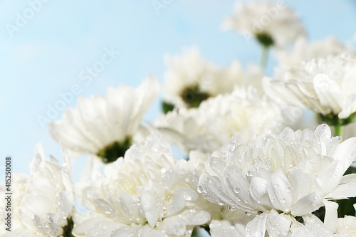Abstract flower arrangement, still life, spring banner, chrysanthemums with place for text on the background of the sky. Greeting card for mother's day, womens day, valentine's day, happy birthday,