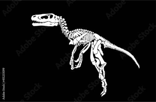 Graphical skeleton of raptor isolated on black background,vector engraved illustration, paleontology