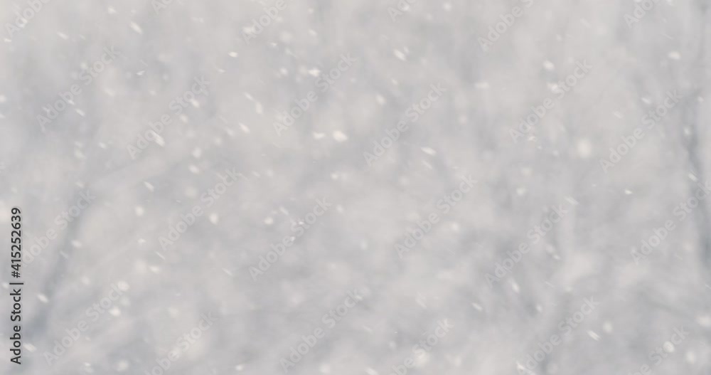 winter background. snowfall in the forest. copy space. winter background. snowfall in the forest. copy space.