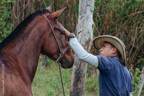 Horse trainer gently stroking horse's head