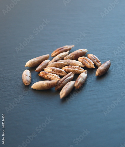 Seeds of hoenix dactylifera, commonly known as date or date palm, on dark grey background photo