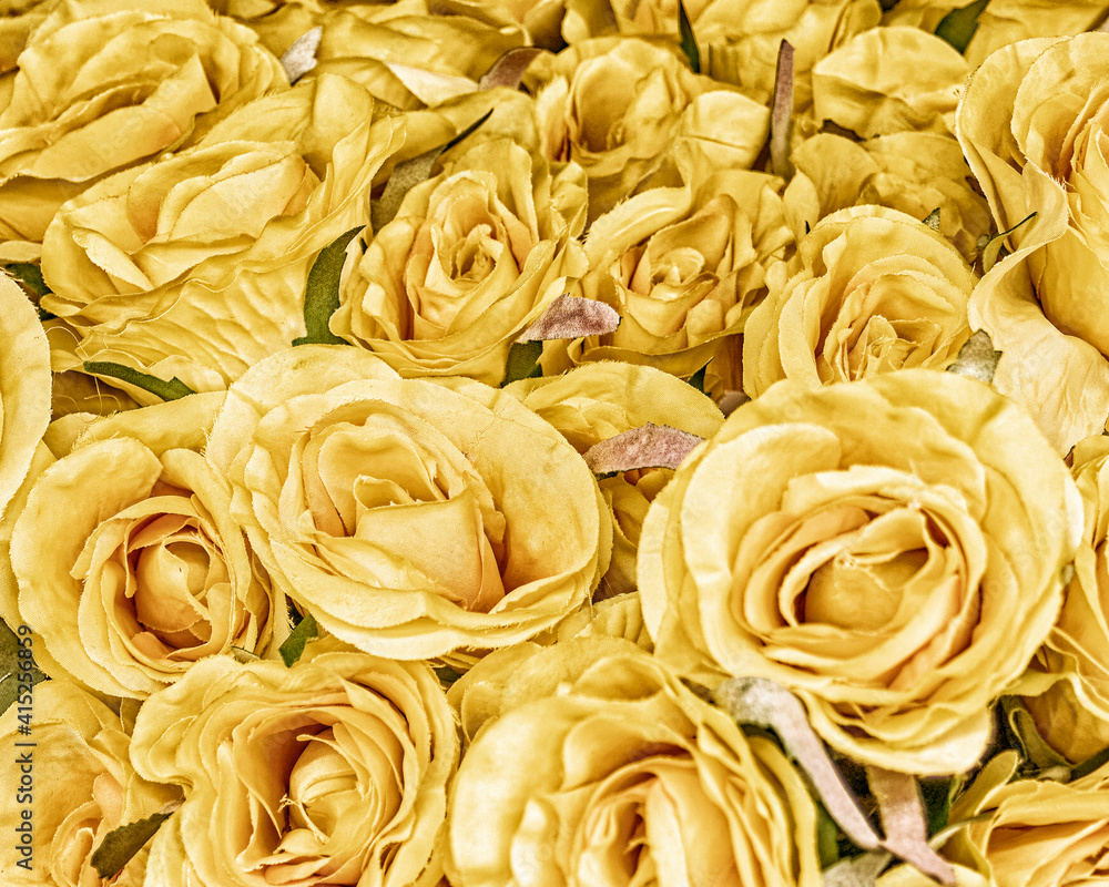 colorful textile rose flowers top view closeup, natural pattern background colorful textile rose flowers top view closeup, natural pattern background