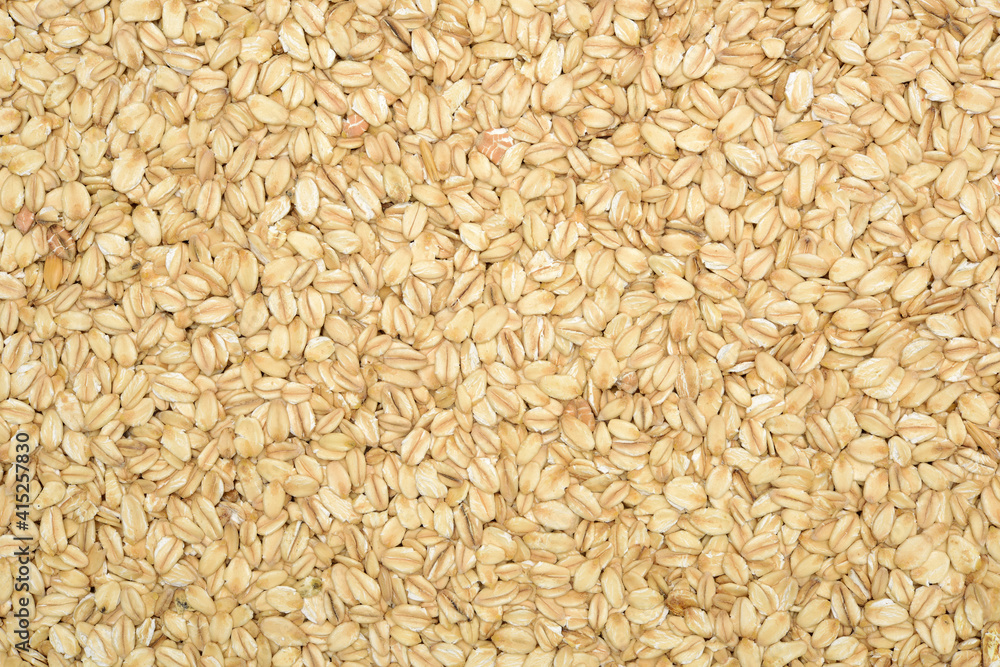 Oat grains background Oat grains background