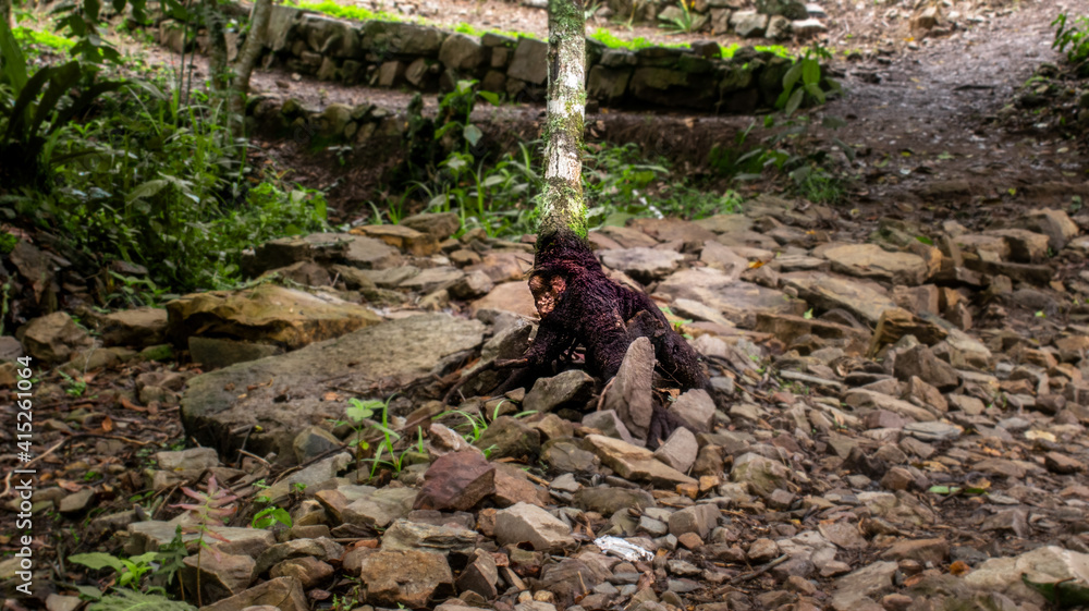 Fototapeta premium base de un árbol con la forma de un pequeño gorila