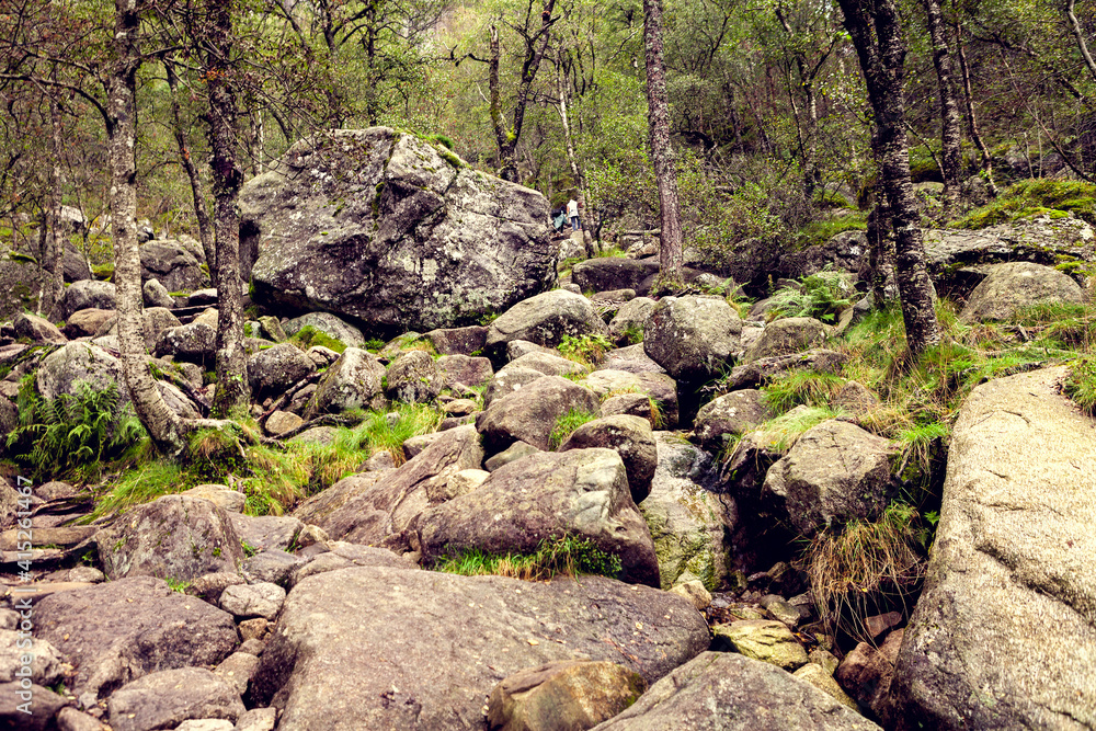 Norwegian mountains with boulders and trees Norwegian mountains with boulders and trees