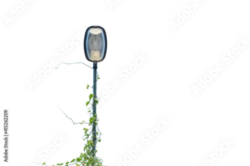 Street lamp post, with green plants isolated on white background with clipping path.