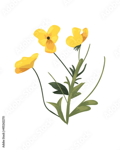 yellow flower with leaves vector design