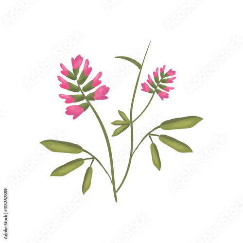 pink flower with leaves isolated vector design