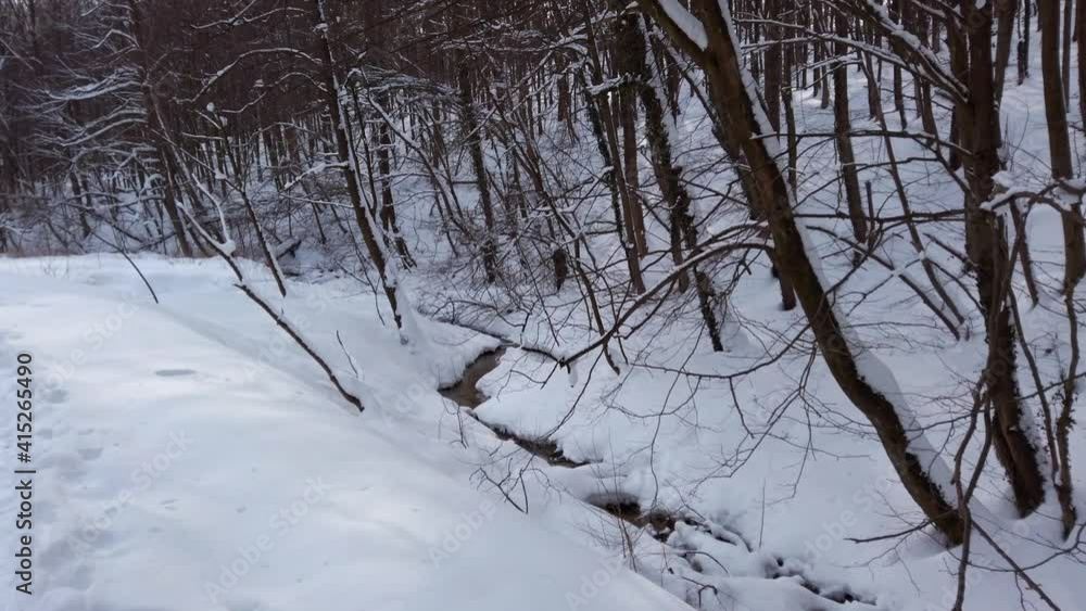Stream among the snow in the winter forest.