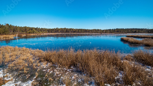 Spiegeleis am gefrorenen Moorsee in Bayern im Winter 