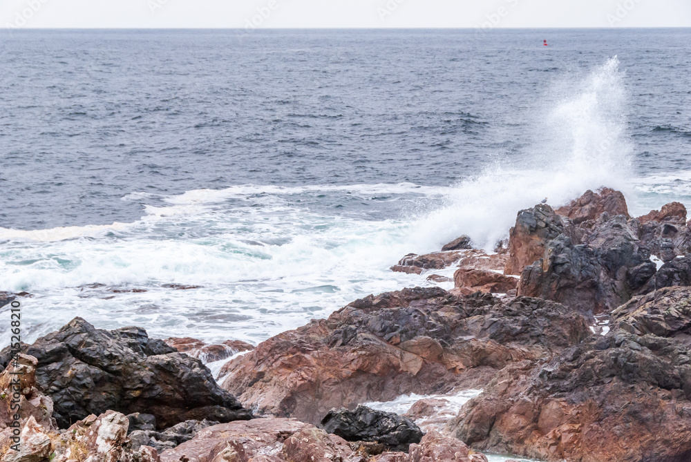 Fototapeta premium Storm Waves at Beautiful Rocky Coast.