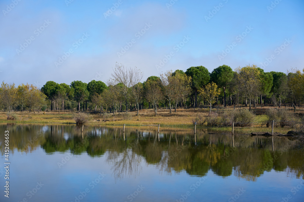 Lake view with trees reflection on the water in Castelo Branco, Portugal Lake view with trees reflection on the water in Castelo Branco, Portugal