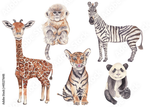 Watercolor safari baby animals set. Jungle animals giraffe, zebra,monkey, tiger, panda. Animal illustrations isolated on white.  Nursery, kids room decor, cute animals. Savannah.  © Liudmila