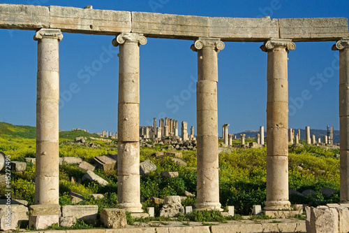 Temple of Artemis viewed through columns of the plaza at the Roman ruins of Jerash, Jordan, during springtime with yellow wildflowers