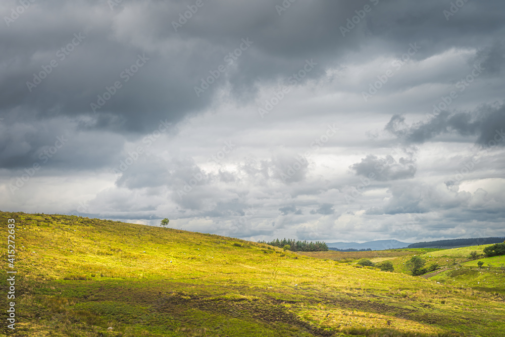 Fototapeta premium Rolling hills with single trees and fields or pastures with sheep in Cuilcagh Mountain Park with stormy sky, Northern Ireland
