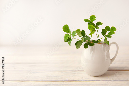 green clover leaves in a white jug on a white wooden background