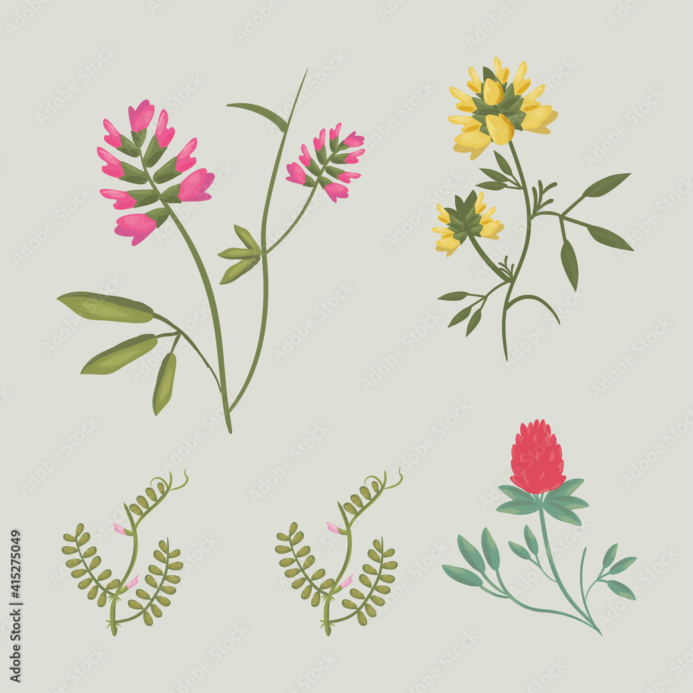 flowers with leaves icon collection vector design
