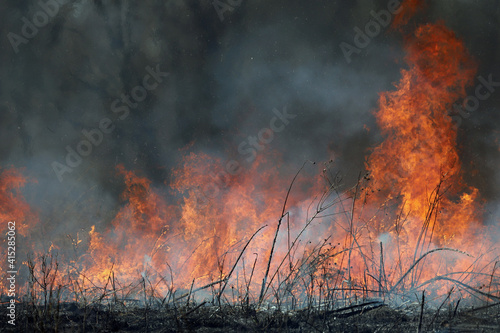 Wild Fire - Burning Earth © naturedata