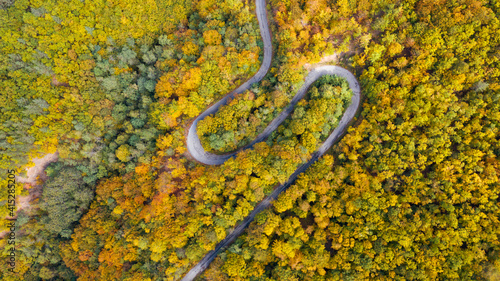 Aerial view of thick forest in autumn with road cutting through. photo